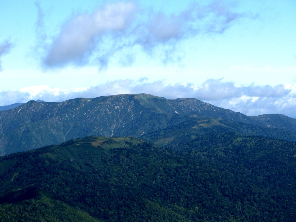 平ヶ岳 山頂湿原