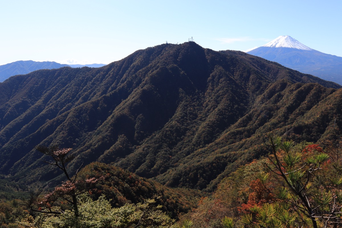 本社ヶ丸 富士山眺望