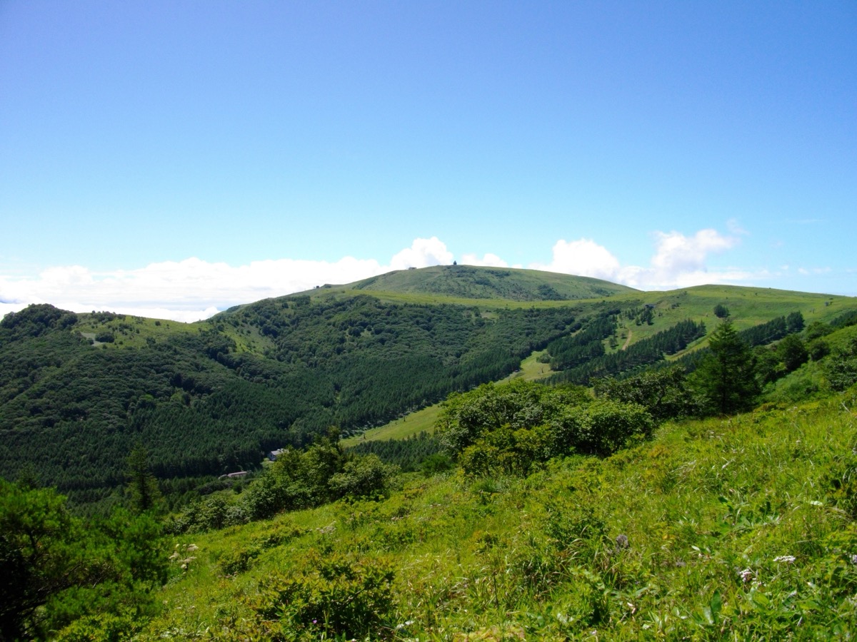 霧ヶ峰
