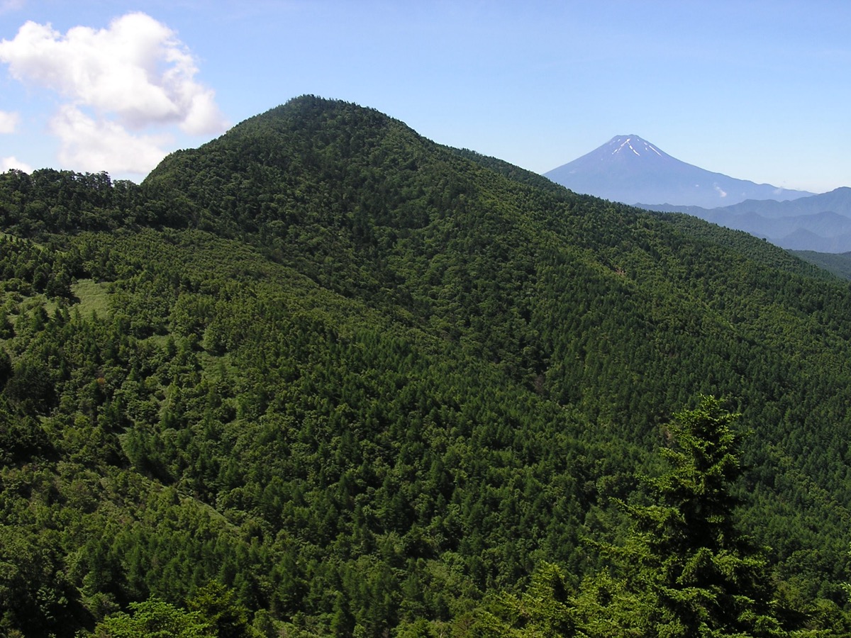 小金沢山 富士山眺望