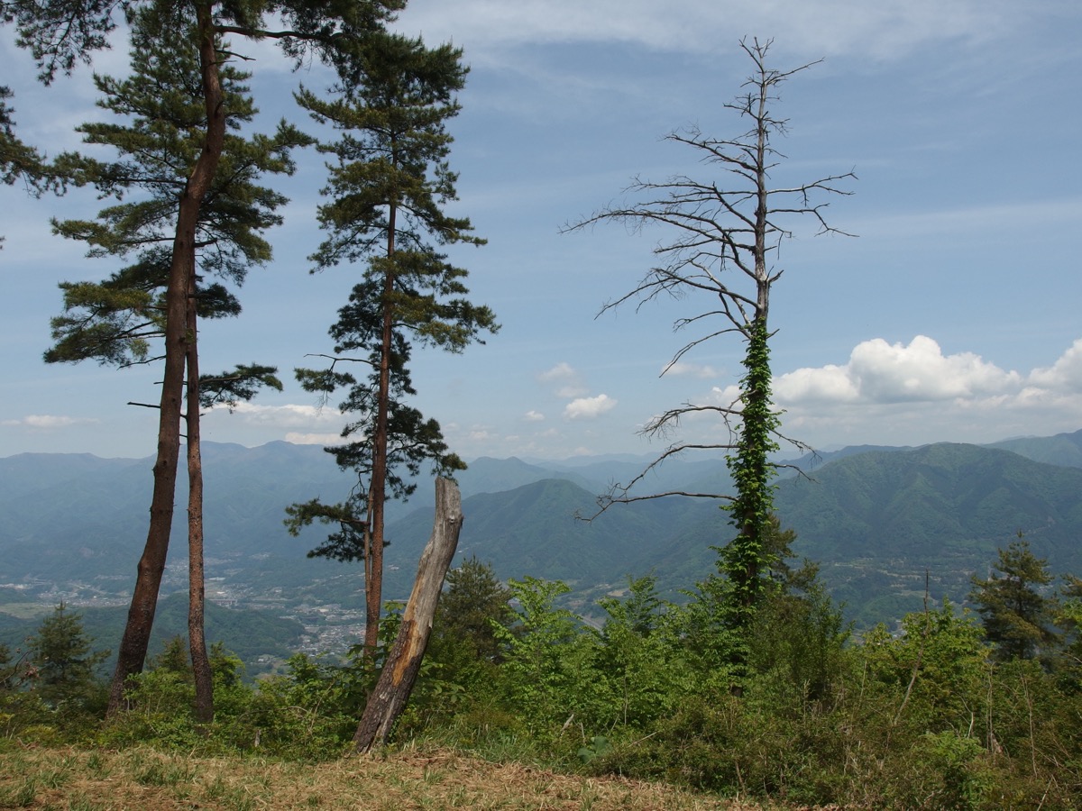 倉岳山 山頂富士山眺望