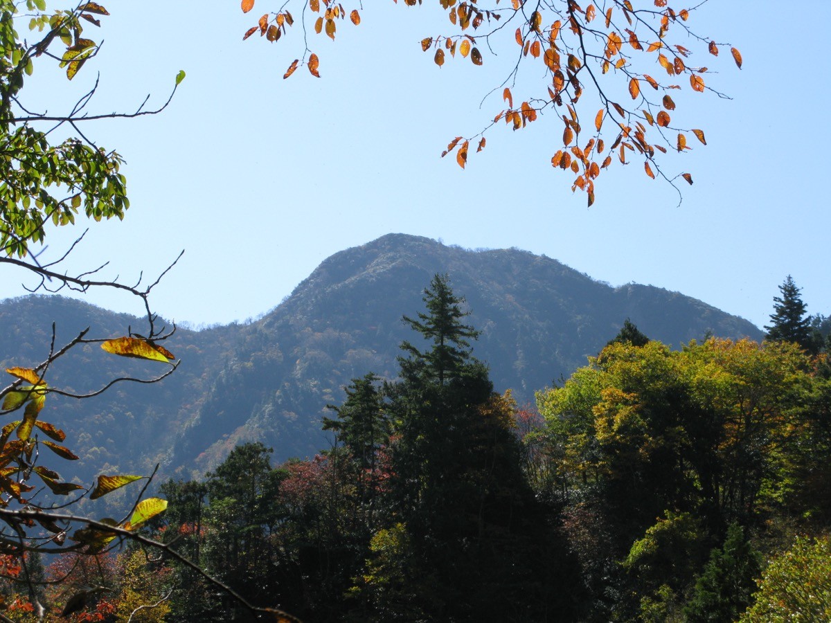 紅葉の木々越しに望む荒海山の山容