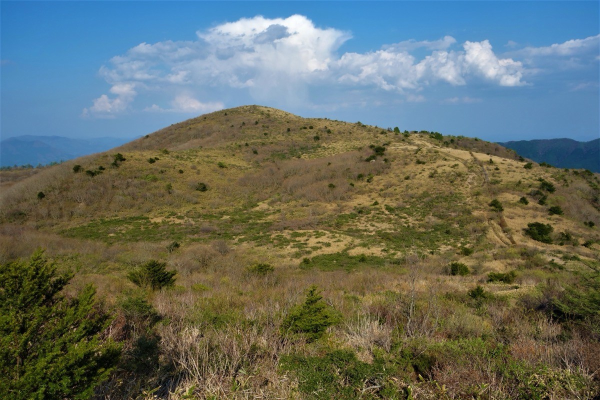 道後山