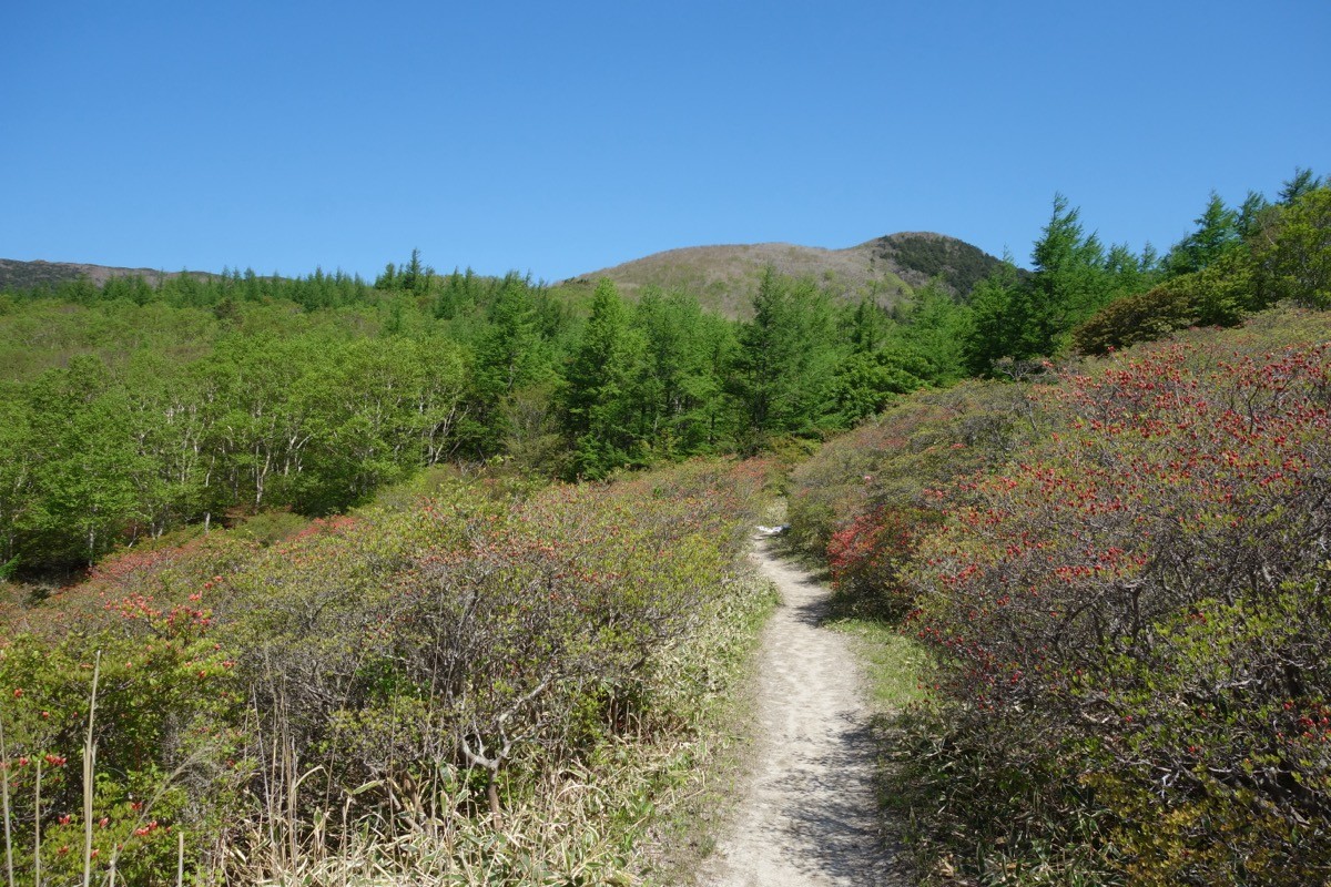 賽の河原から見た五葉山