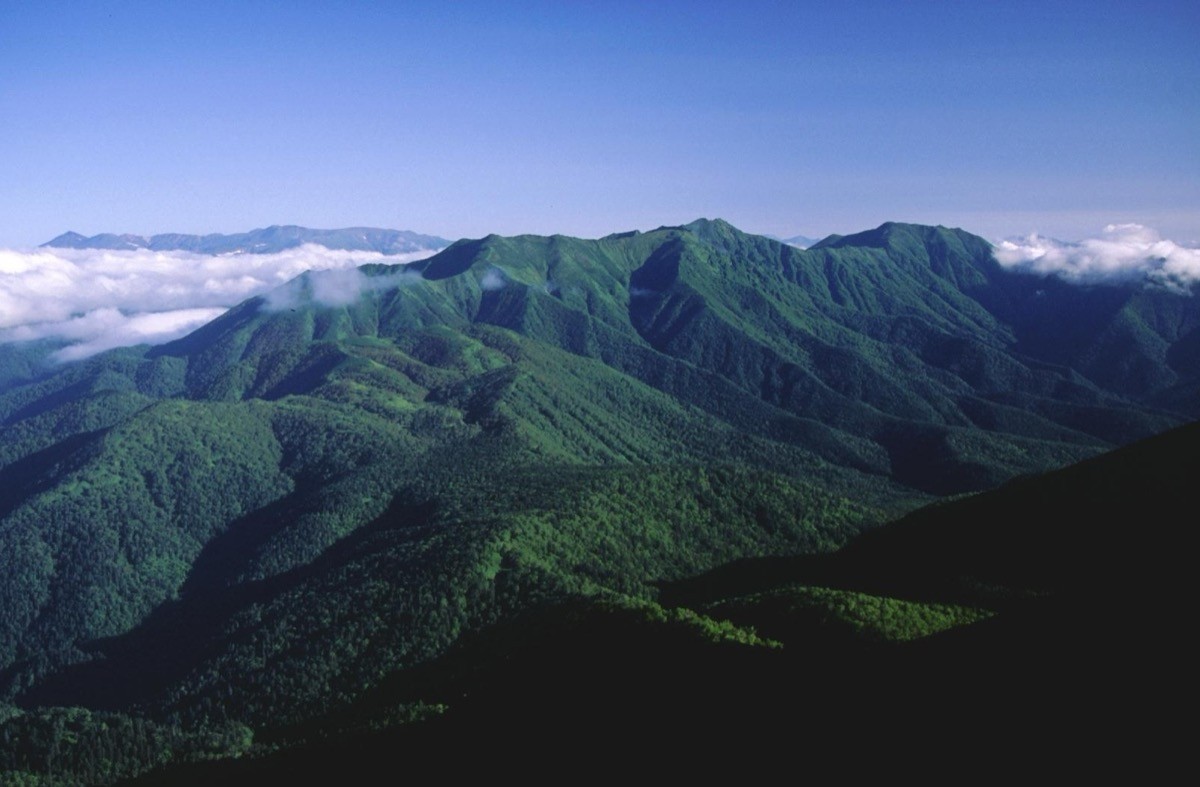 ニペソツ山方面から望む石狩岳