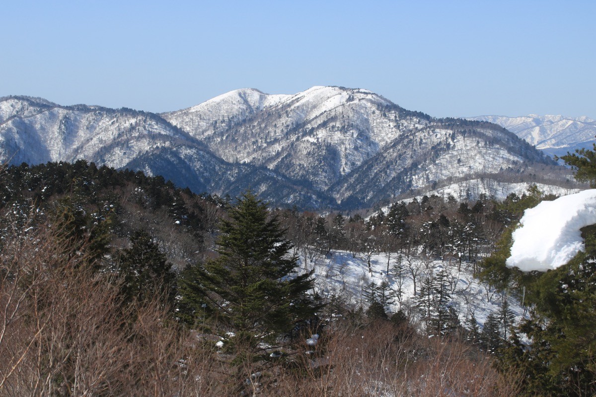 川上岳