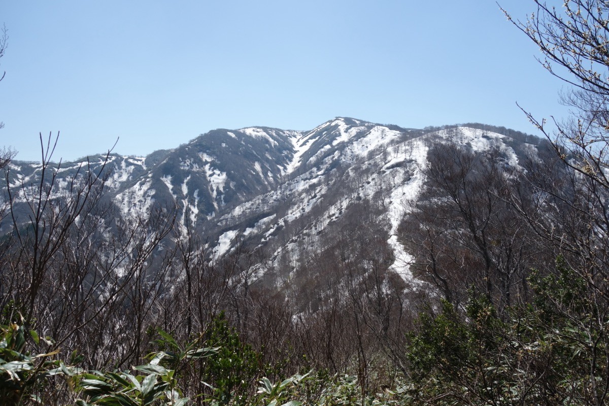 片折岳から見た金剛堂山