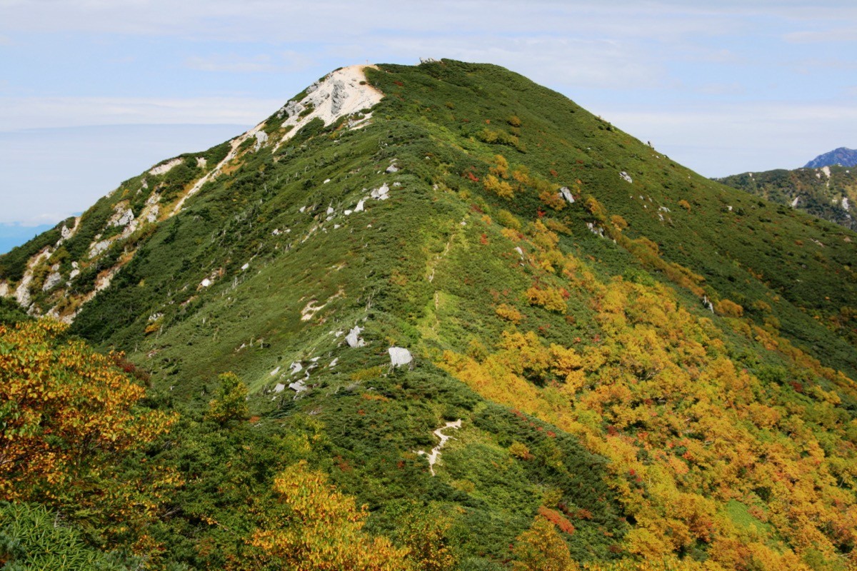 南から見た越百山