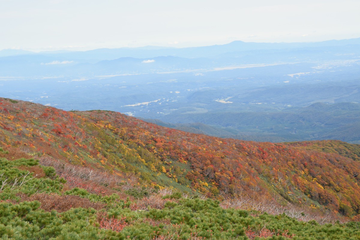 栗駒山