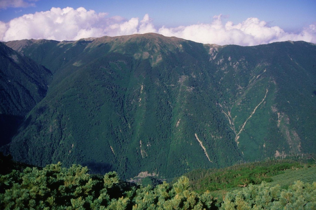 こうもり岳から望む白河内岳と笹山(黒河内岳)