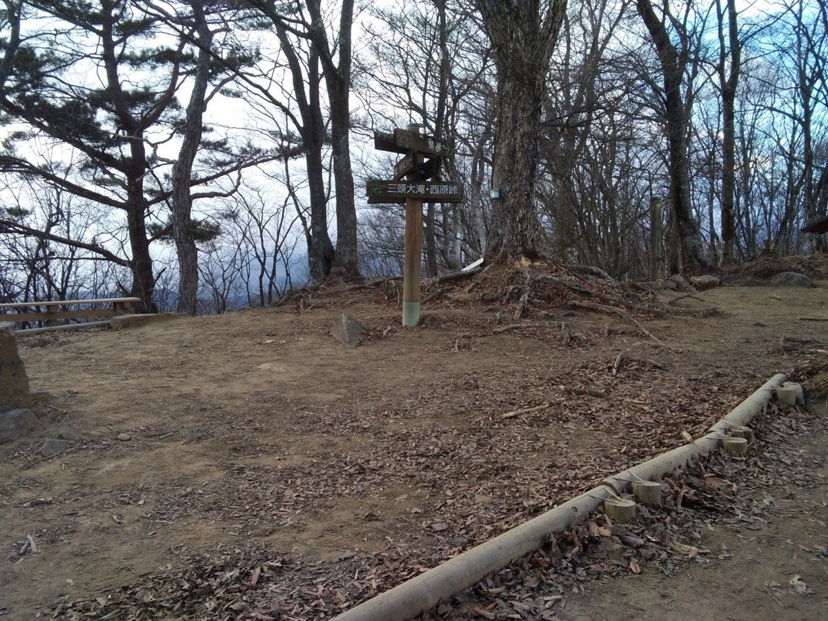 三頭山の山頂