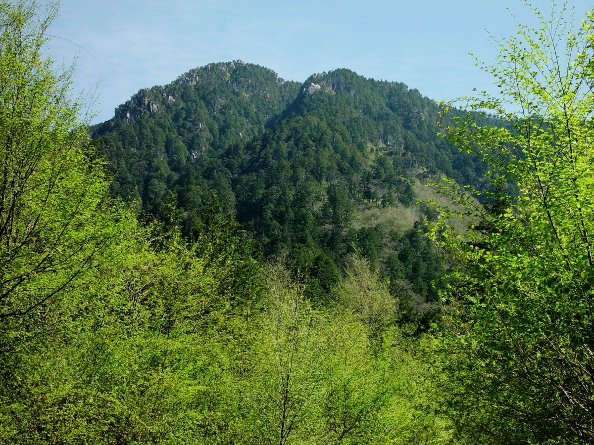南木曽岳