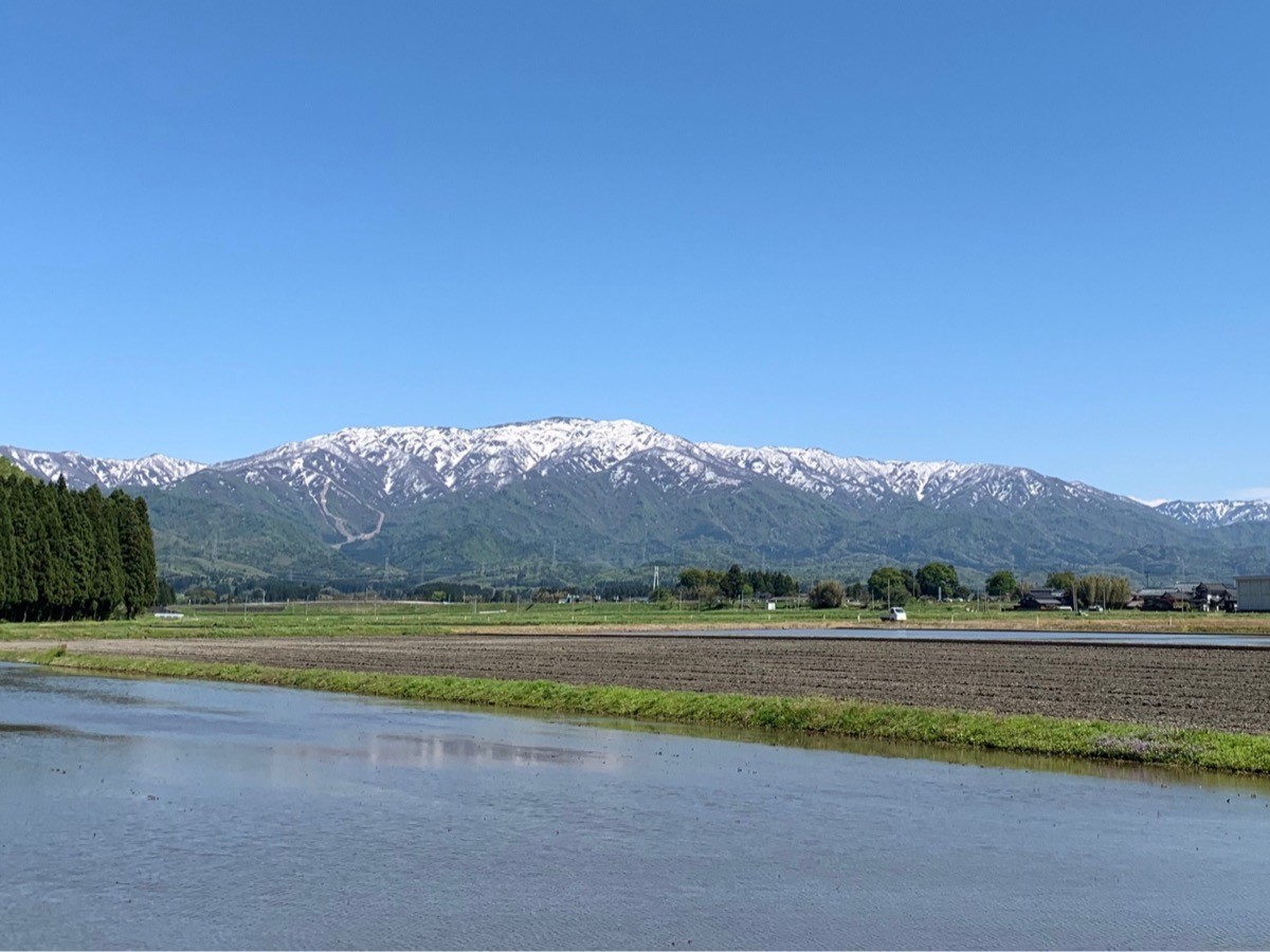 新発田市から望む二王子岳