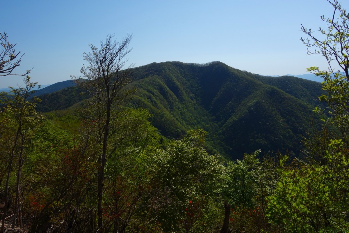 牛首の峰付近から望む伯母子岳