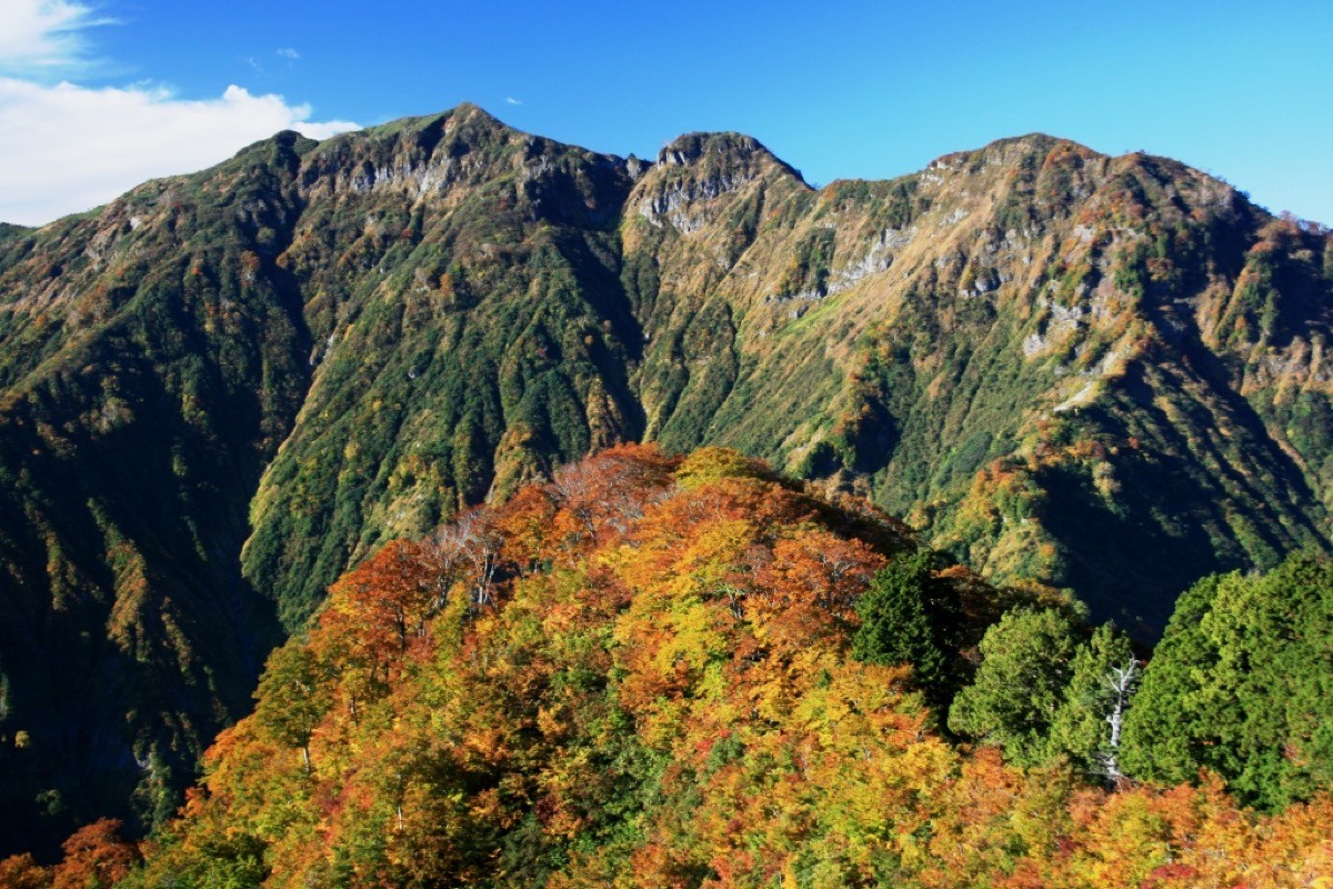 前笈ヶ岳から見た笈ヶ岳