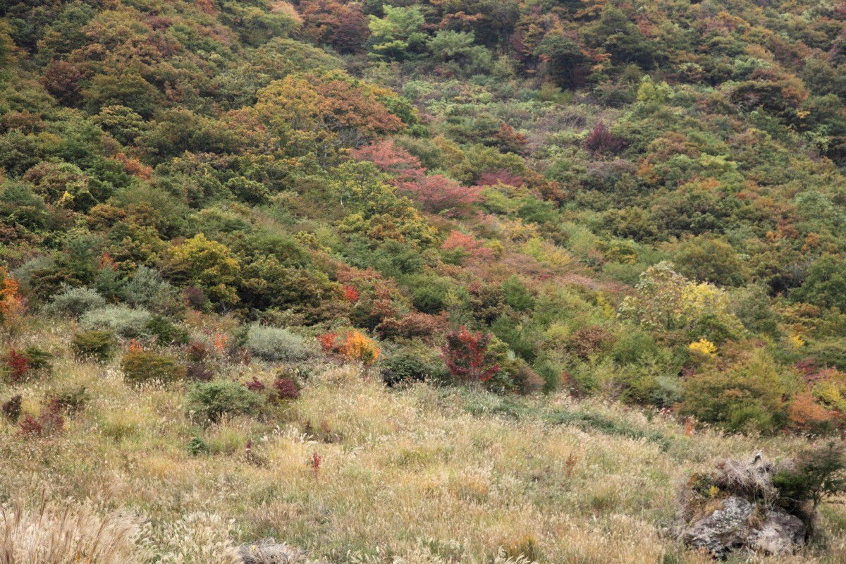大船山