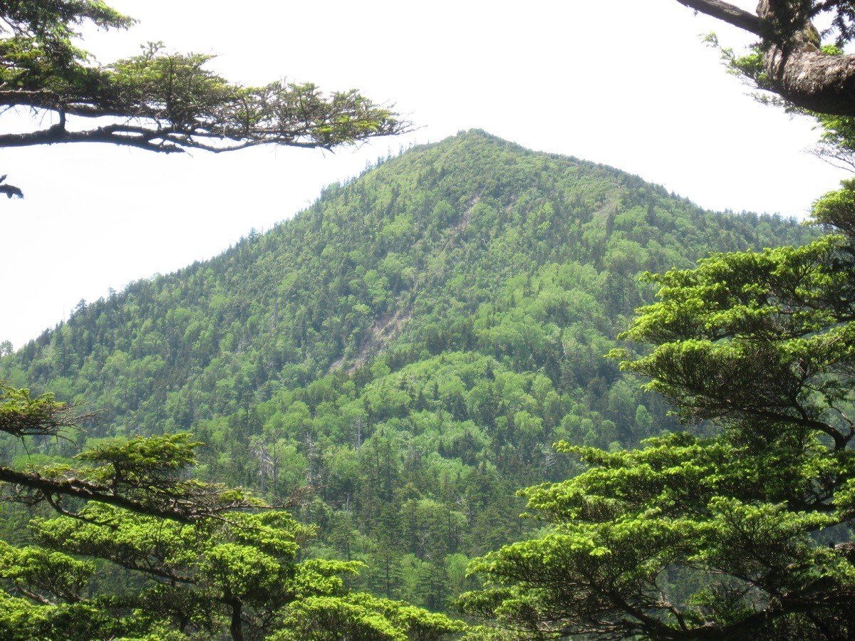 馬坂峠から見た帝釈山