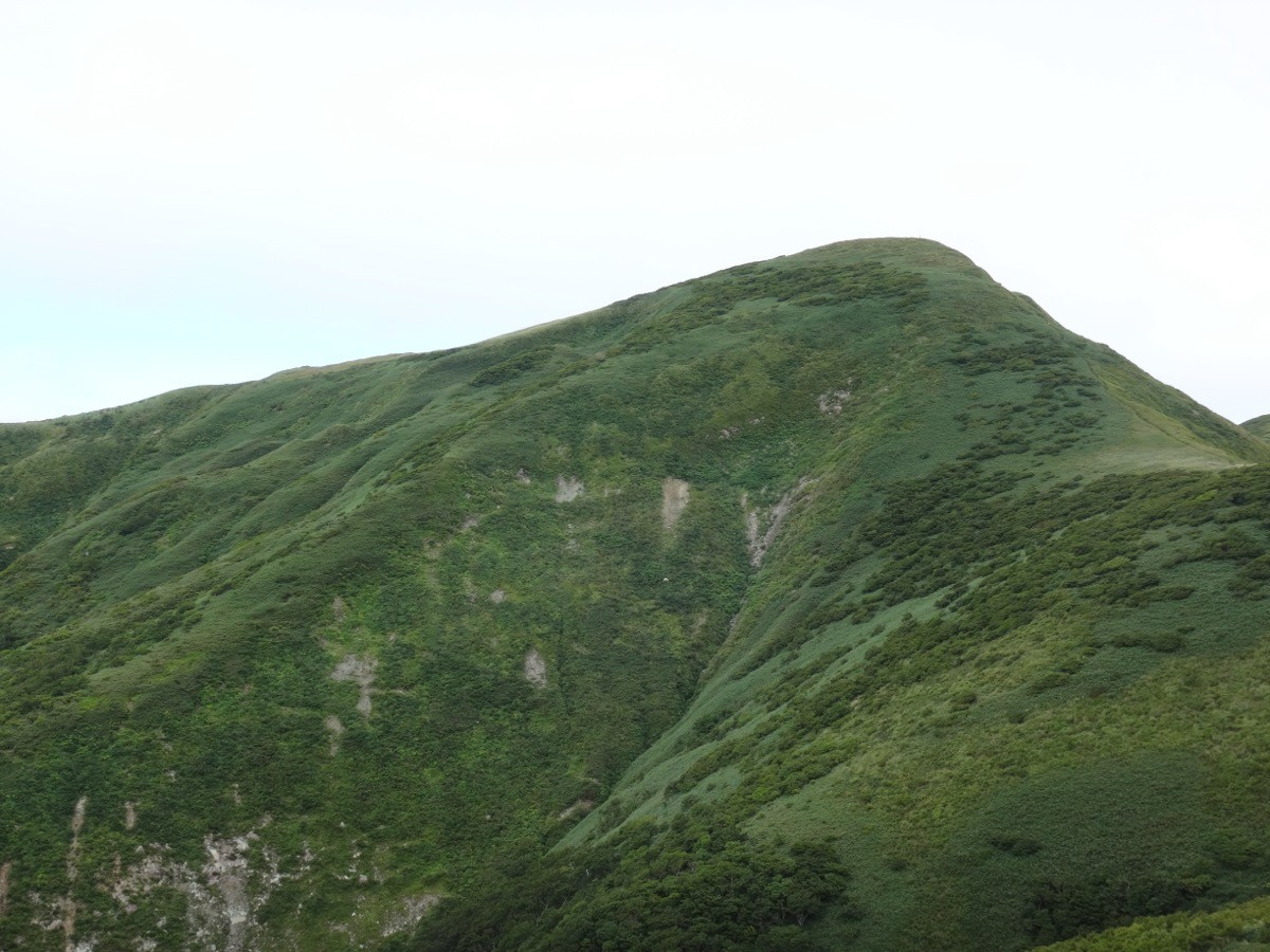 岩手側から望む和賀岳